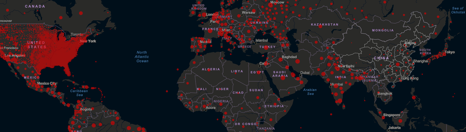 Making Sense of the Pandemic